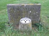 image of grave number 161995